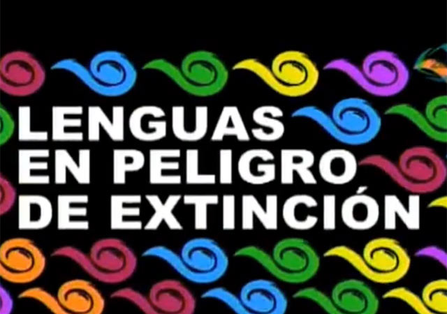 LA IMPORTANCIA DE LAS LENGUAS INDIGENAS la importancia de las lenguas indigenas: