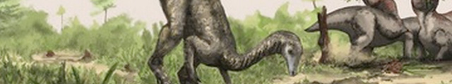 Descubren al dinosaurio más antiguo en estantes de museos